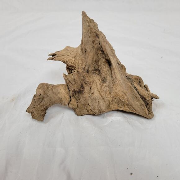 Ohio River Driftwood 8"x8"x5" - Picture 4 of 4